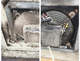 Gym Fan Commercial Servicing