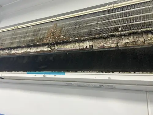 Click Here To Enlarge This Photo Of Mitsubishi Heavy Strip Down Clean